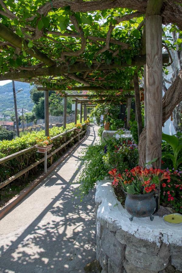 Guesthouse Coralba Casamicciola Terme Exterior photo